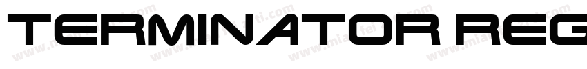 Terminator Regular字体转换